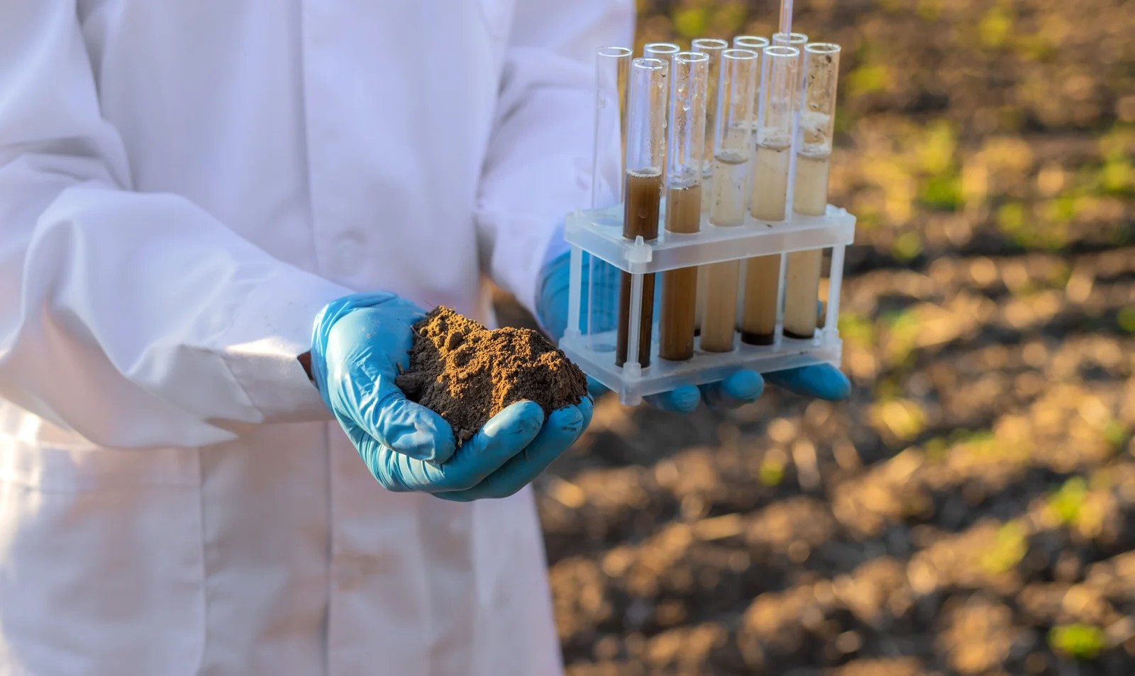 Lab technician testing soil samples for nutrient content